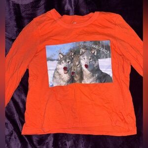 Aerie Orange Long Sleeve Tee with Winter Wolf Design